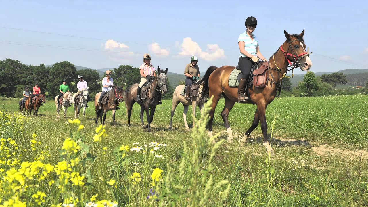 Horse Riding Holidays